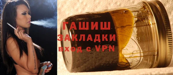 МДПВ Бородино