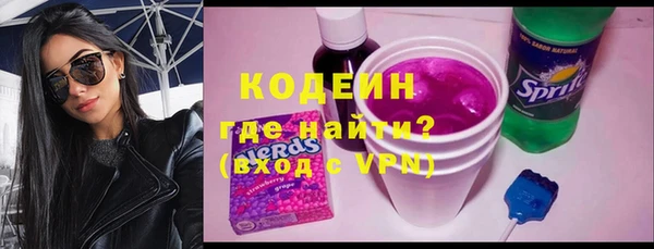 МДПВ Бородино