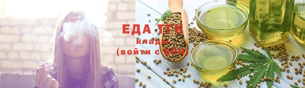 МДПВ Бородино