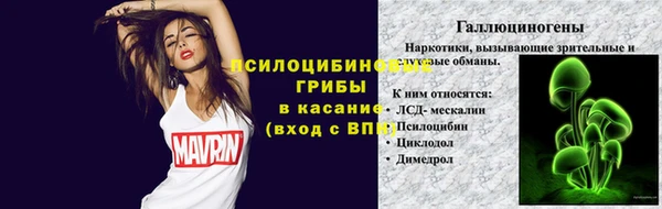 МДПВ Бородино