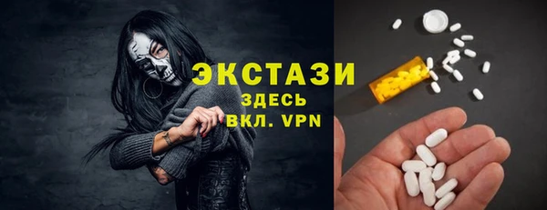 МДПВ Бородино
