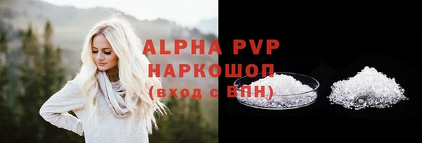 МДПВ Бородино