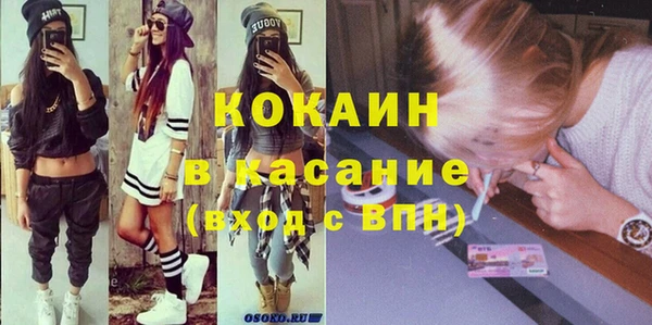 МДПВ Бородино