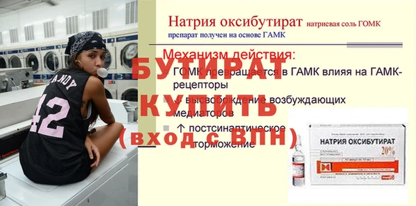МДПВ Бородино