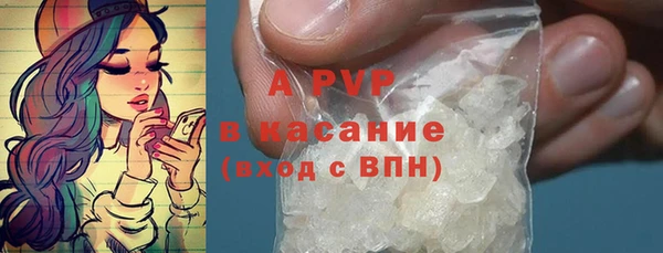МДПВ Бородино