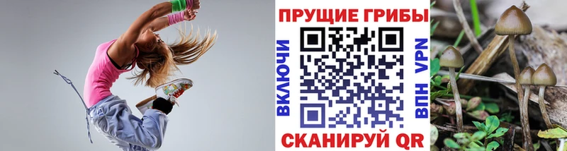 Псилоцибиновые грибы MAGIC MUSHROOMS  Новосокольники 