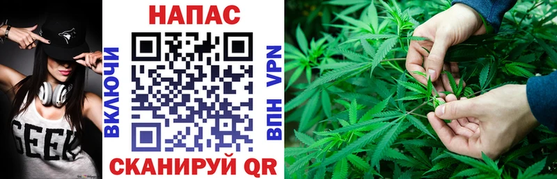 Бошки Шишки Amnesia  Новосокольники 